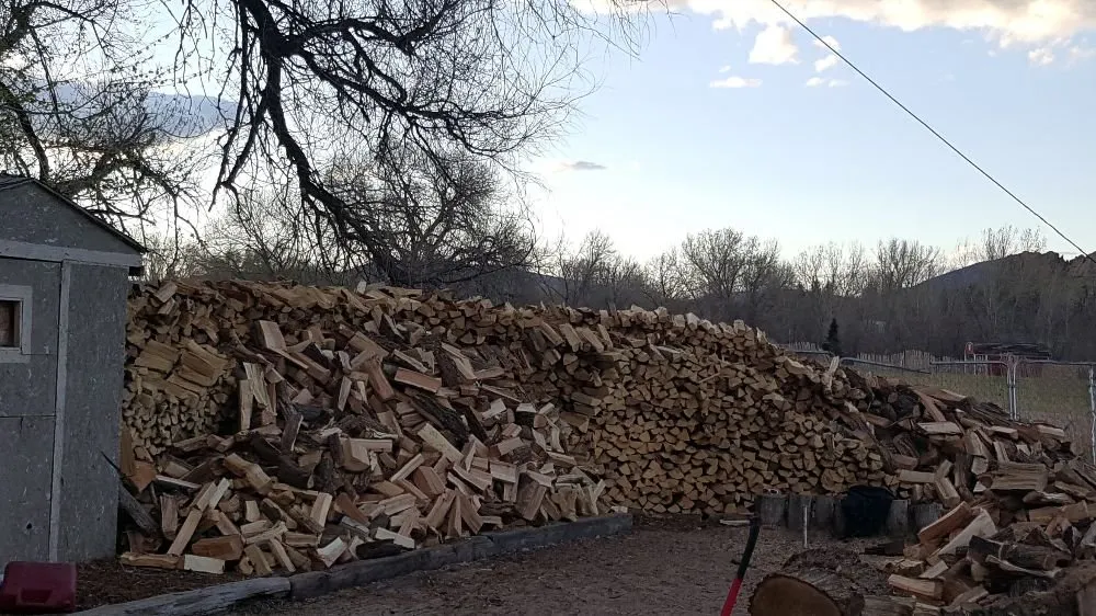 Affordable lawn mowing service for year-round maintenance across Loveland, CO - Limbs and Things