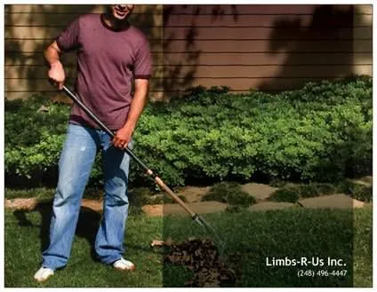 Reliable landscape design in Rochester Hills, MI - Limbs-R-Us Inc