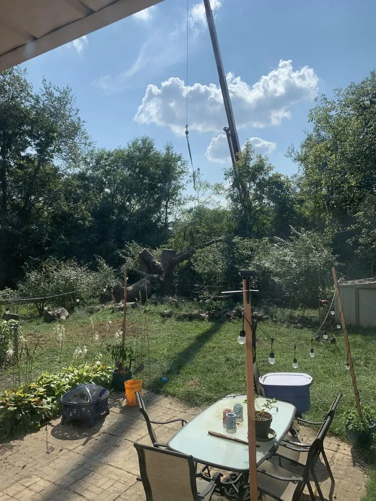 Professional garden landscaping with custom design in Louisville, KY by Limbwalker Tree Service