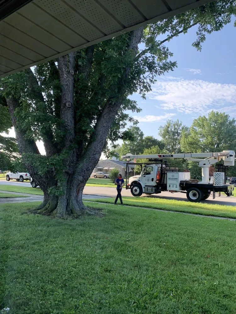 Trusted outdoor landscaping with custom design in Louisville, KY by Limbwalker Tree Service