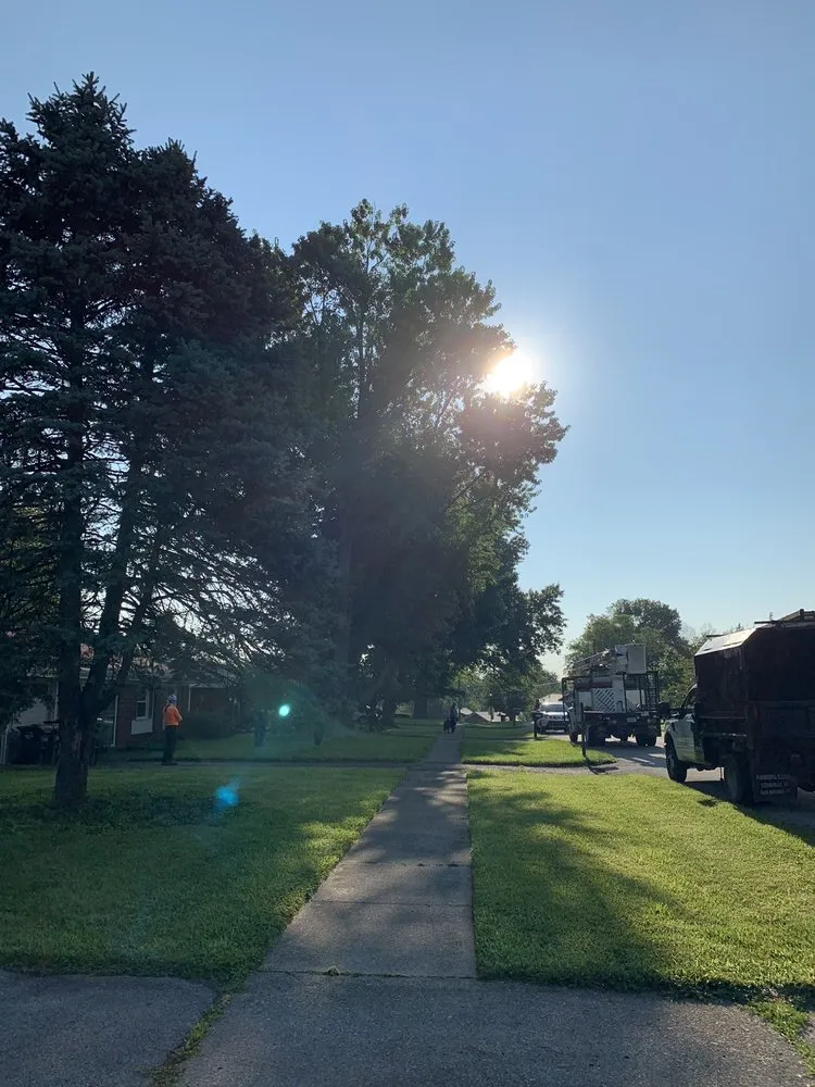 Affordable residential landscaping for residential properties in Louisville, KY by Limbwalker Tree Service