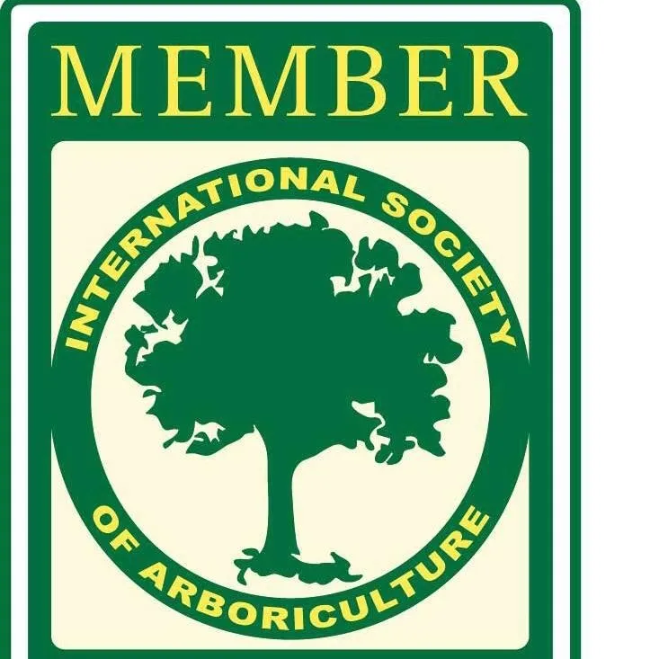 Top-rated landscaping services experts serving Morganton, NC - Limbwalkers Tree & Crane Service