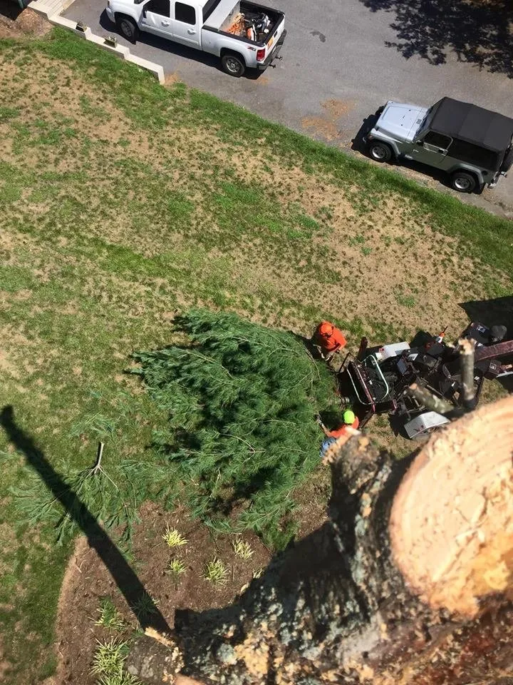 Professional landscape design in Morganton, NC by Limbwalkers Tree & Crane Service