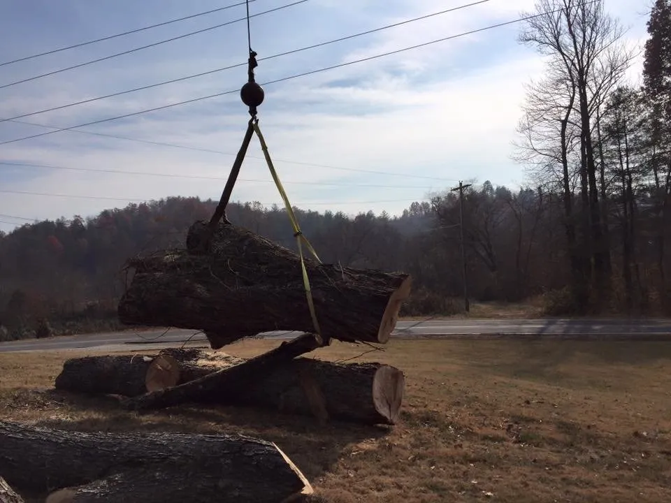 Trusted yard maintenance experts serving Morganton, NC - Limbwalkers Tree & Crane Service