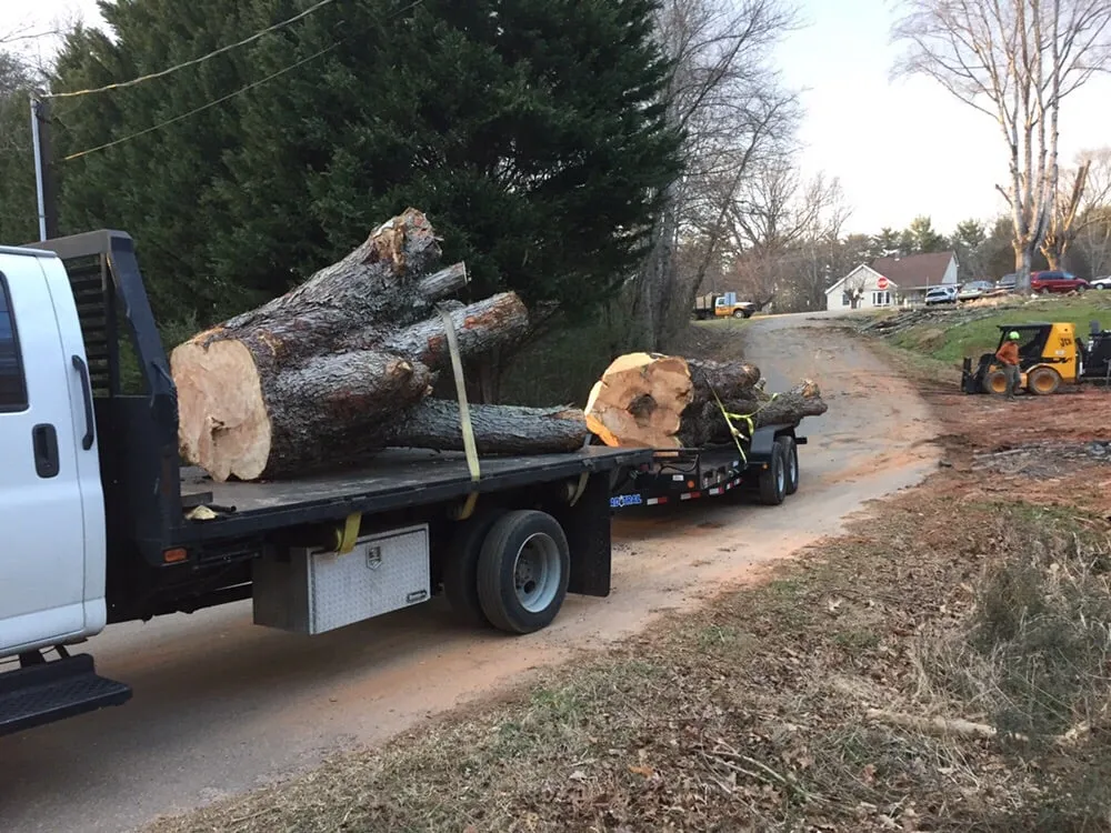 Trusted yard cleanup service in Morganton, NC - Limbwalkers Tree & Crane Service