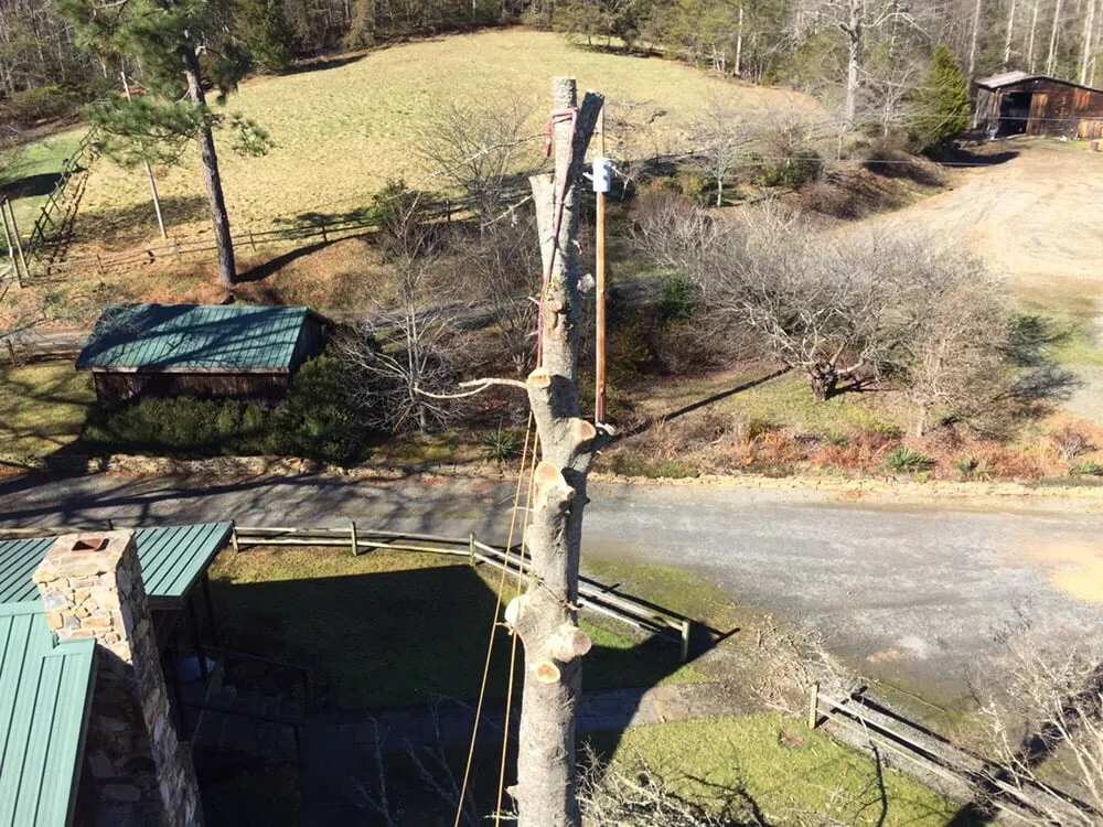 Custom outdoor landscaping in Morganton, NC by Limbwalkers Tree & Crane Service