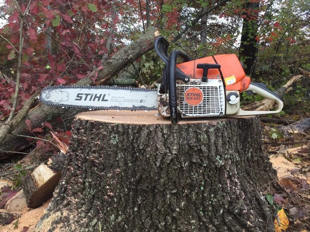 Expert yard cleanup service in Morganton, NC by Limbwalkers Tree & Crane Service