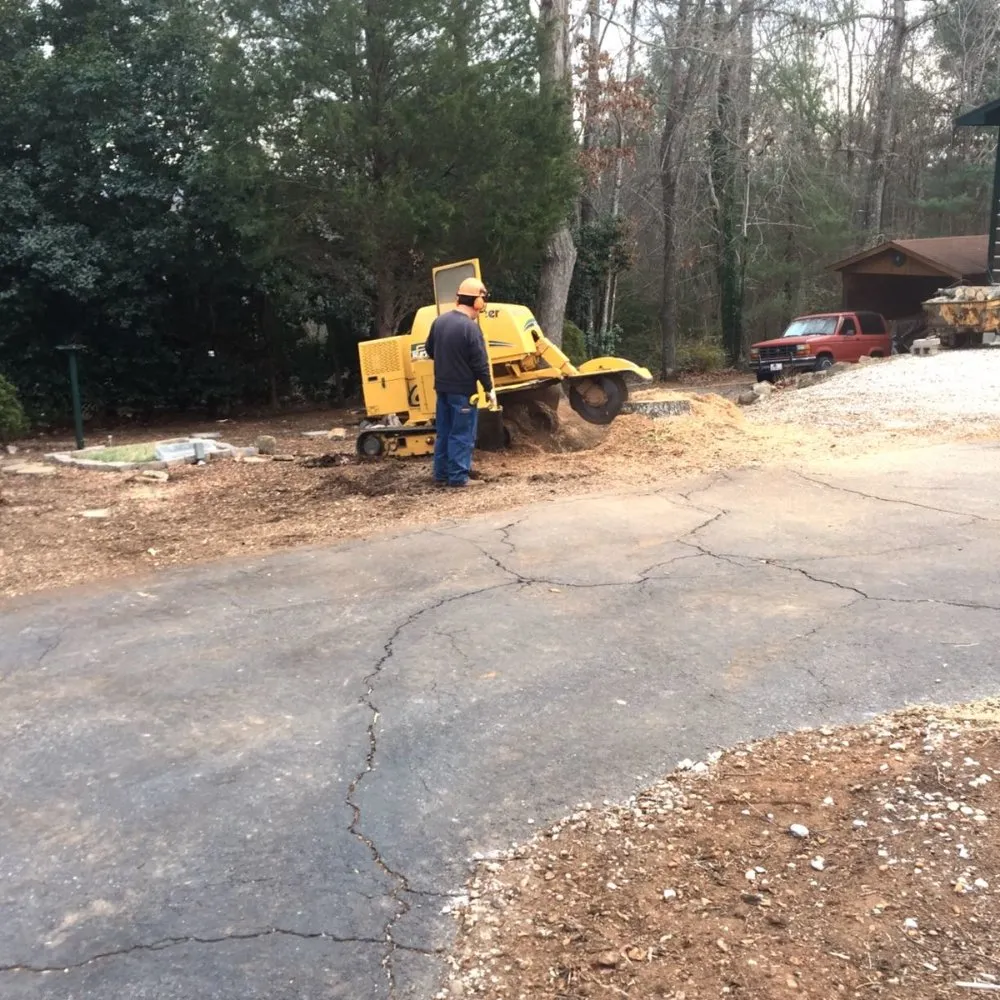 Expert lawn care service for year-round maintenance across Morganton, NC - Limbwalkers Tree & Crane Service