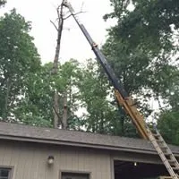 Local lawn care service with custom design across Morganton, NC - Limbwalkers Tree & Crane Service