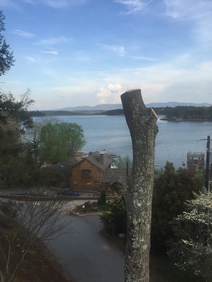 Custom landscape installation with custom design across Morganton, NC - Limbwalkers Tree & Crane Service