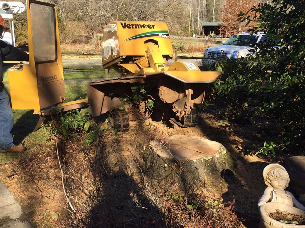 Affordable landscape installation experts serving Morganton, NC - Limbwalkers Tree & Crane Service
