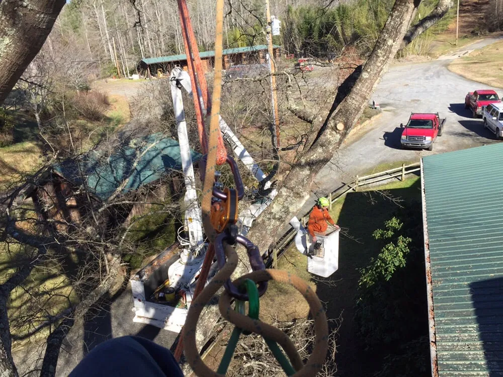 Expert landscape installation experts serving Morganton, NC - Limbwalkers Tree & Crane Service