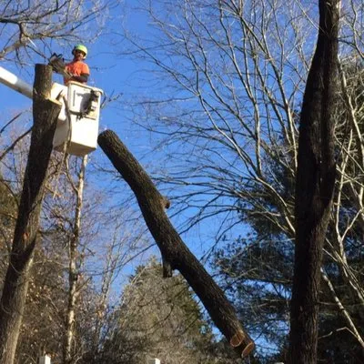Limbwalkers Tree & Crane Service