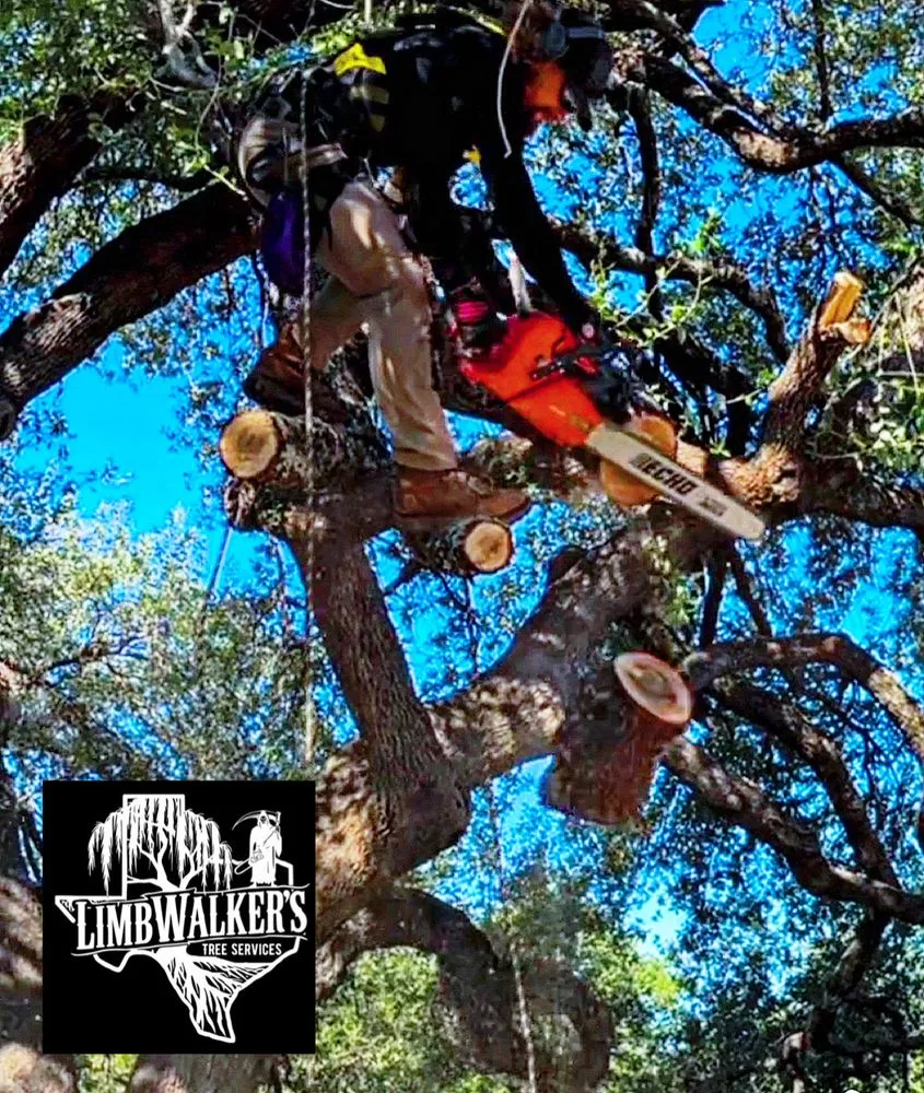 Trusted yard cleanup service in Burnet, TX by LimbWalkers Tree service