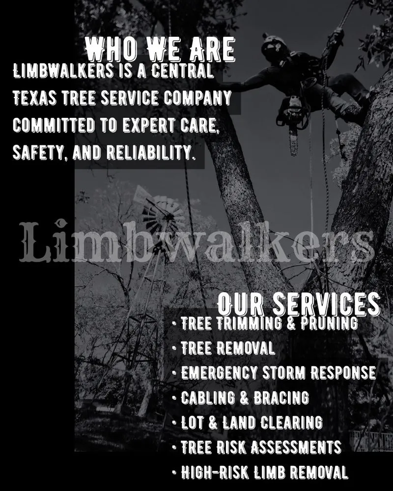 Professional yard cleanup service in Burnet, TX - LimbWalkers Tree service