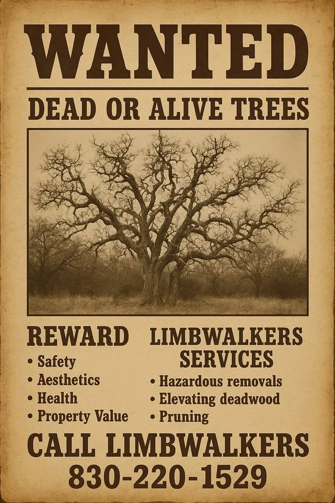 Local yard cleanup service experts serving Burnet, TX - LimbWalkers Tree service