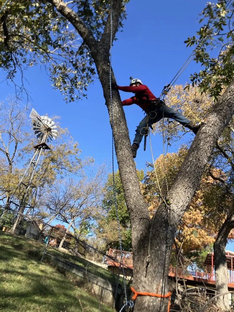Reliable lawn care service experts serving Burnet, TX - LimbWalkers Tree service