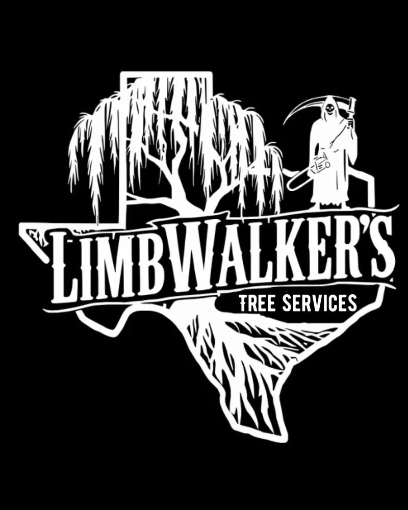 Expert yard cleanup service in Burnet, TX - LimbWalkers Tree service