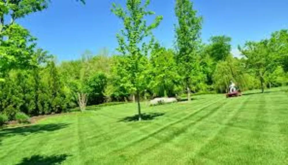 Reliable garden landscaping with custom design across Livingston, TX - Lime Branch Lawn Care
