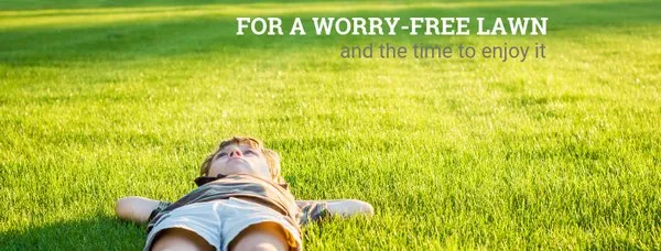 Lime Green Lawn Care