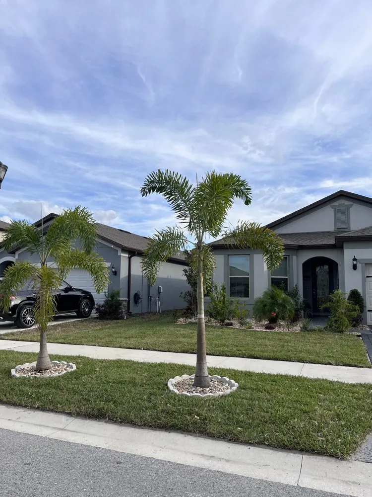 Affordable lawn mowing service in Valrico, FL by Lime Lawns