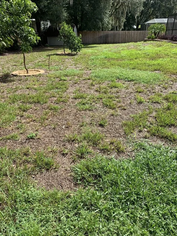 Affordable landscape design in Valrico, FL by Lime Lawns