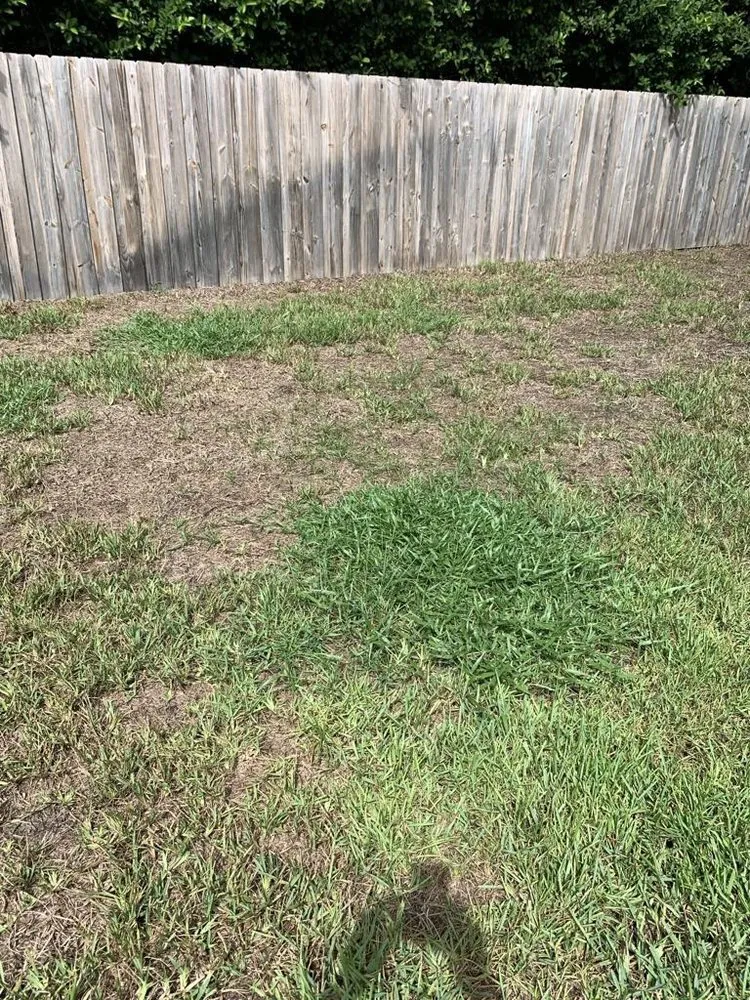 Local landscape design near you across Valrico, FL - Lime Lawns