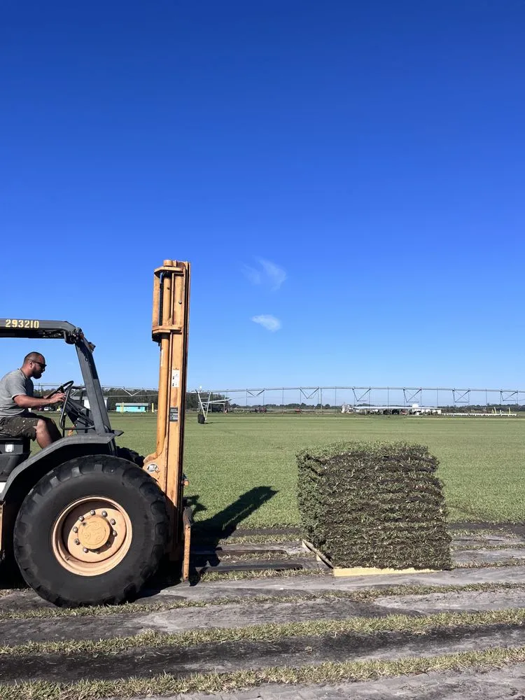 Expert yard maintenance with custom design in Valrico, FL by Lime Lawns