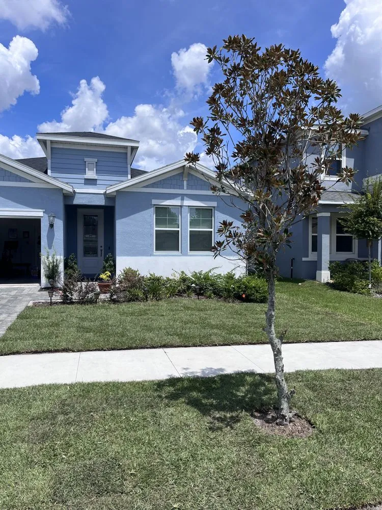 Professional landscaping services experts serving Valrico, FL - Lime Lawns