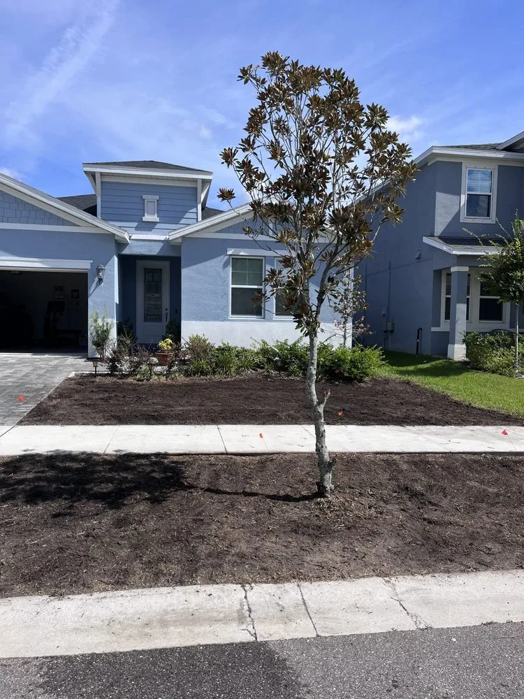 Trusted landscaping services in Valrico, FL by Lime Lawns