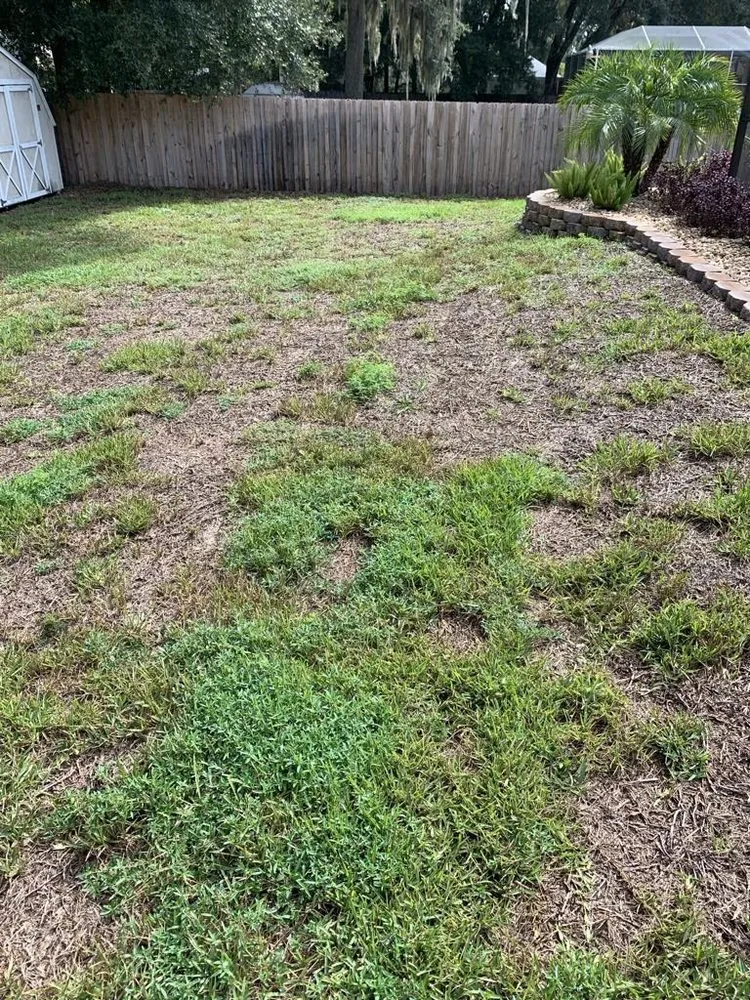 Custom residential landscaping for beautiful yards across Valrico, FL - Lime Lawns