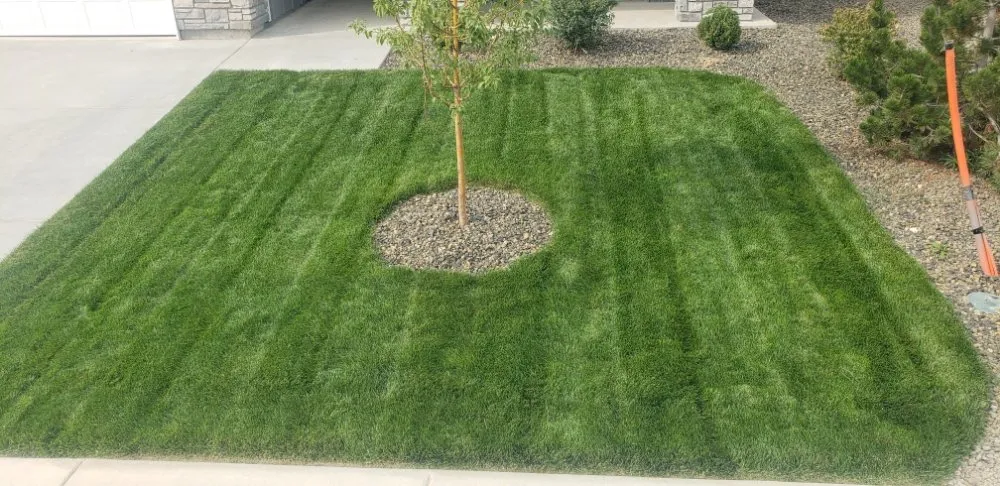 Professional garden landscaping in Caldwell, ID by Limelight Lawn And Tree