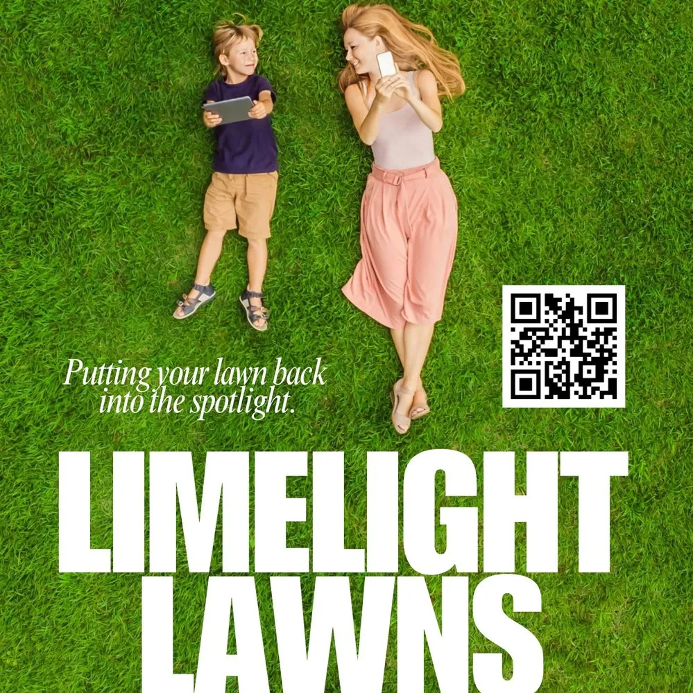 Custom yard cleanup service in Lexington, SC - Limelight Lawns