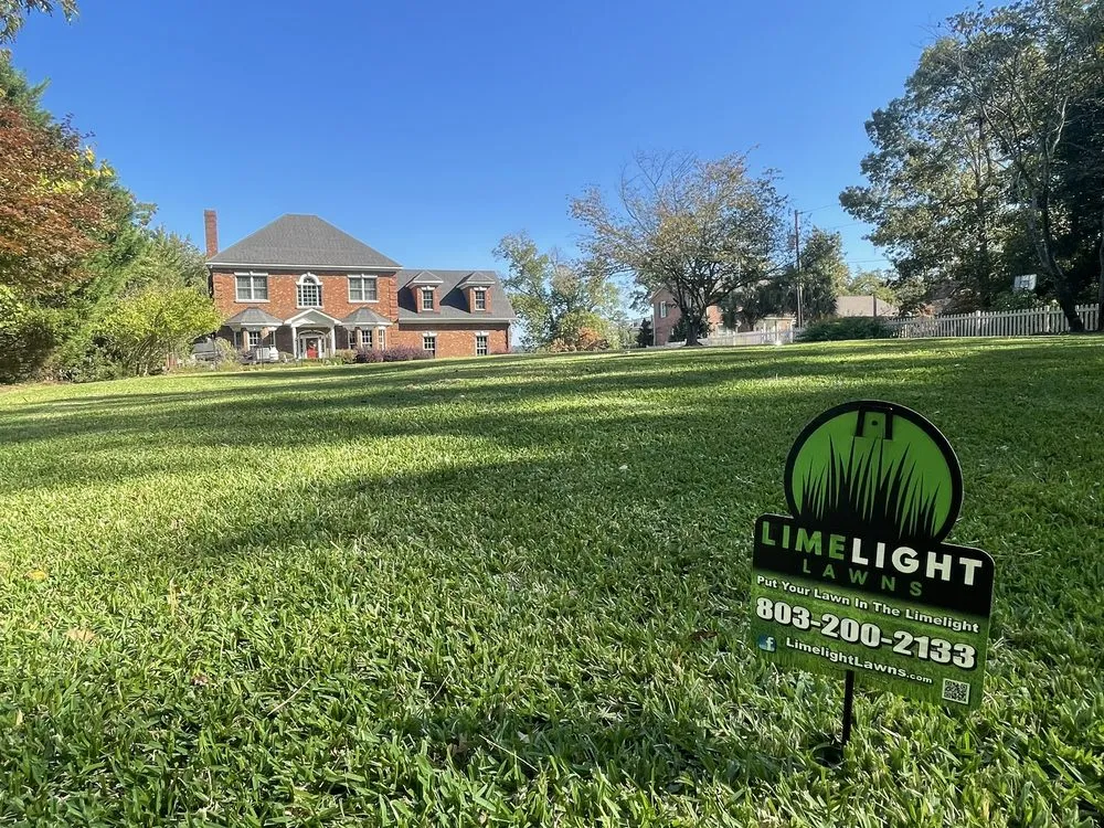 Professional garden landscaping in Lexington, SC by Limelight Lawns