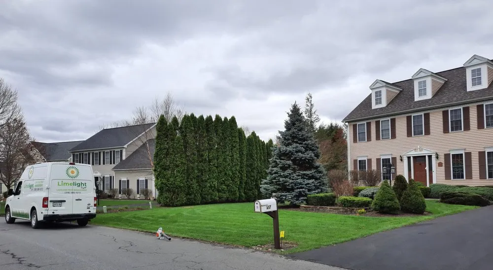 Expert yard maintenance experts serving Altamont, NY - Limelight Turf