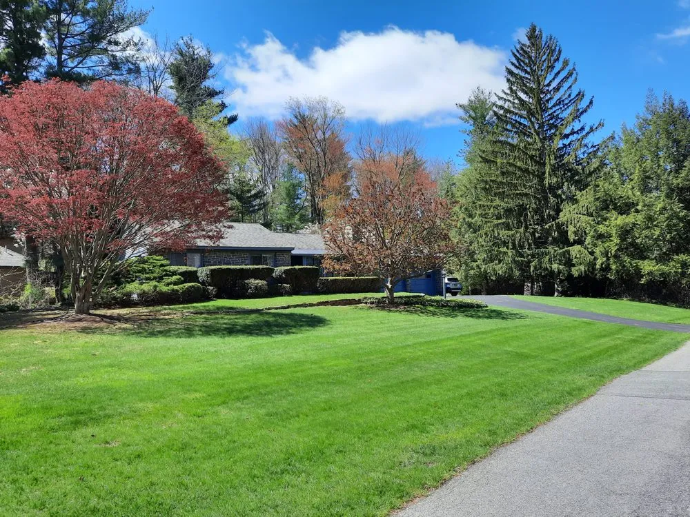 Reliable yard maintenance in Altamont, NY by Limelight Turf