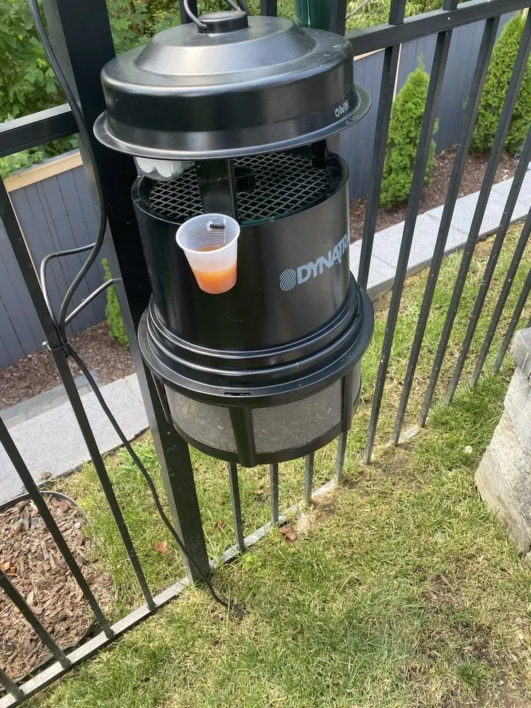 Custom landscape installation in Alexandria, VA - Limit Lawns