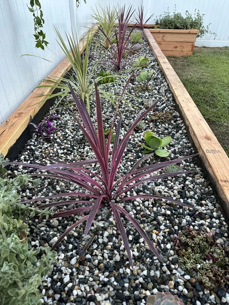 Top-rated landscape installation for outdoor upgrades across Long Beach, CA - Limited Landscape