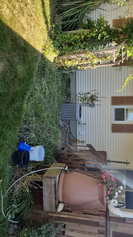 Affordable landscaping services in Woodland, MI - Limitless Details