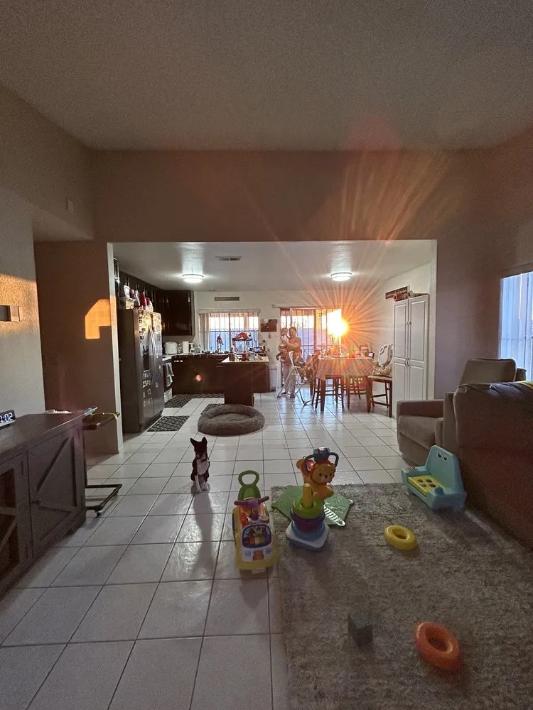 Affordable yard cleanup service experts serving Vista, CA - Limitless Home Builders