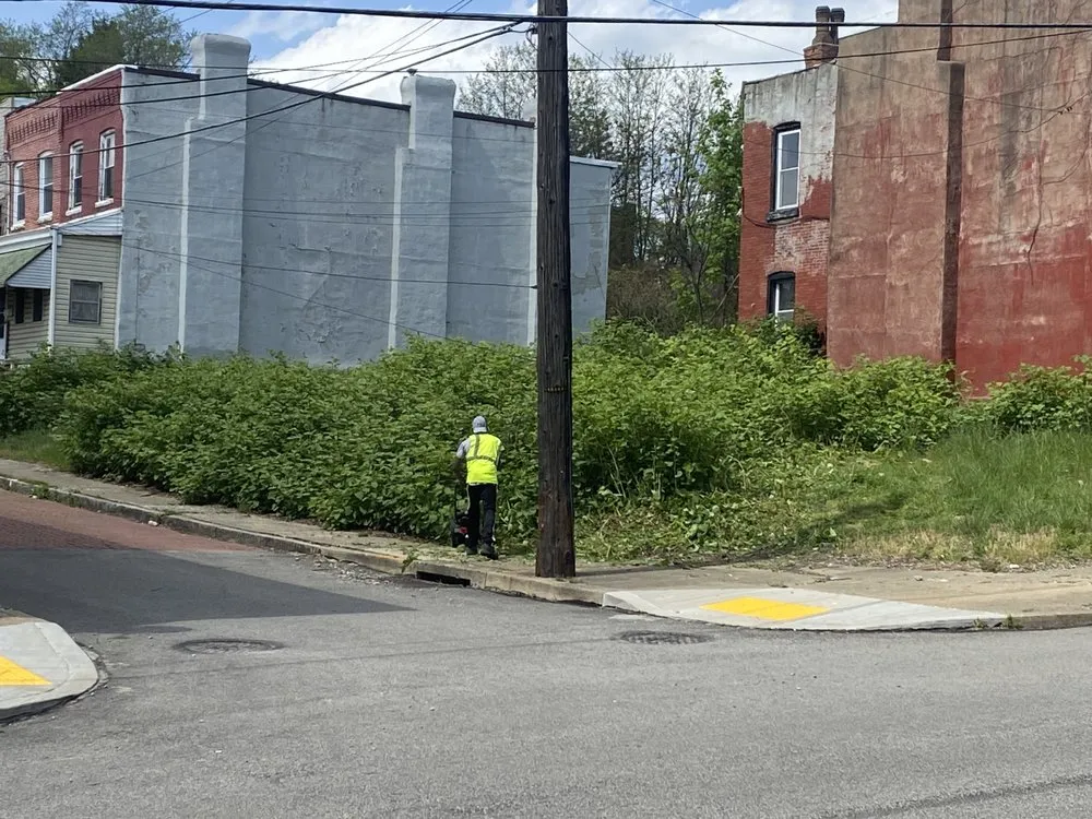 Affordable residential landscaping in Pittsburgh, PA by Limitless Landscapes