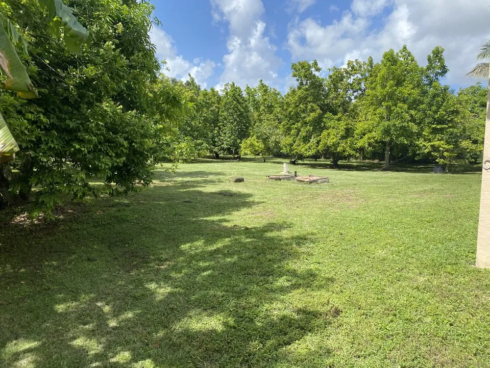 Reliable lawn care service experts serving Kendall, FL - Limitless Landscaping