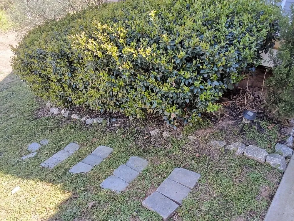 Trusted residential landscaping with custom design across Clayton, NC - Limitless Lawn Care