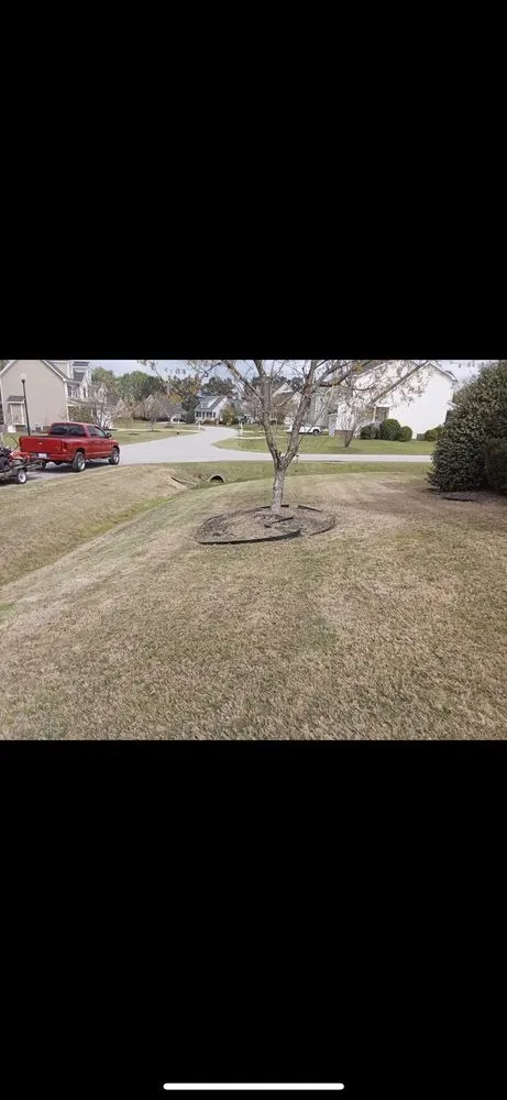 Local yard maintenance in Clayton, NC - Limitless Lawn Care