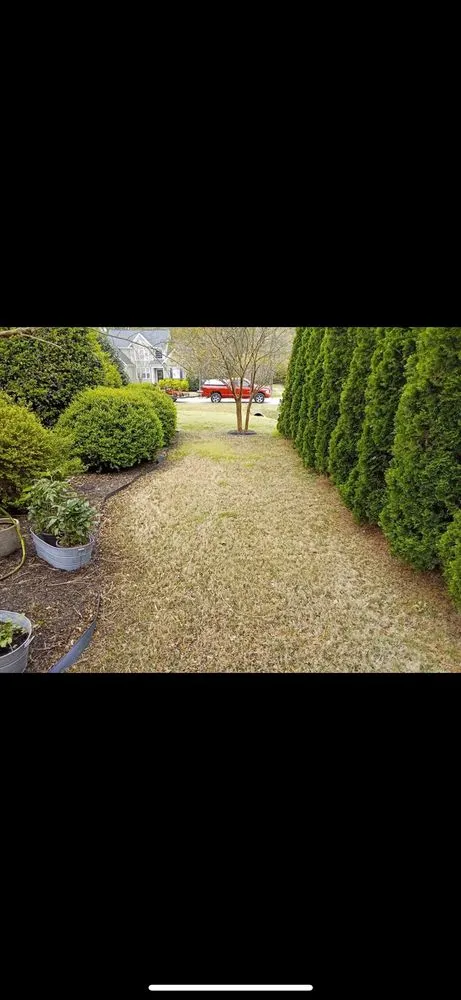 Affordable lawn mowing service for outdoor upgrades in Clayton, NC by Limitless Lawn Care