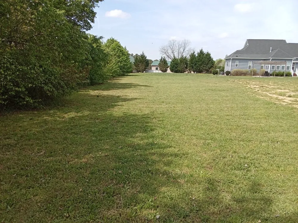 Trusted garden landscaping in Clayton, NC - Limitless Lawn Care