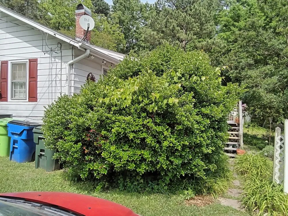 Local outdoor landscaping with custom design in Clayton, NC by Limitless Lawn Care