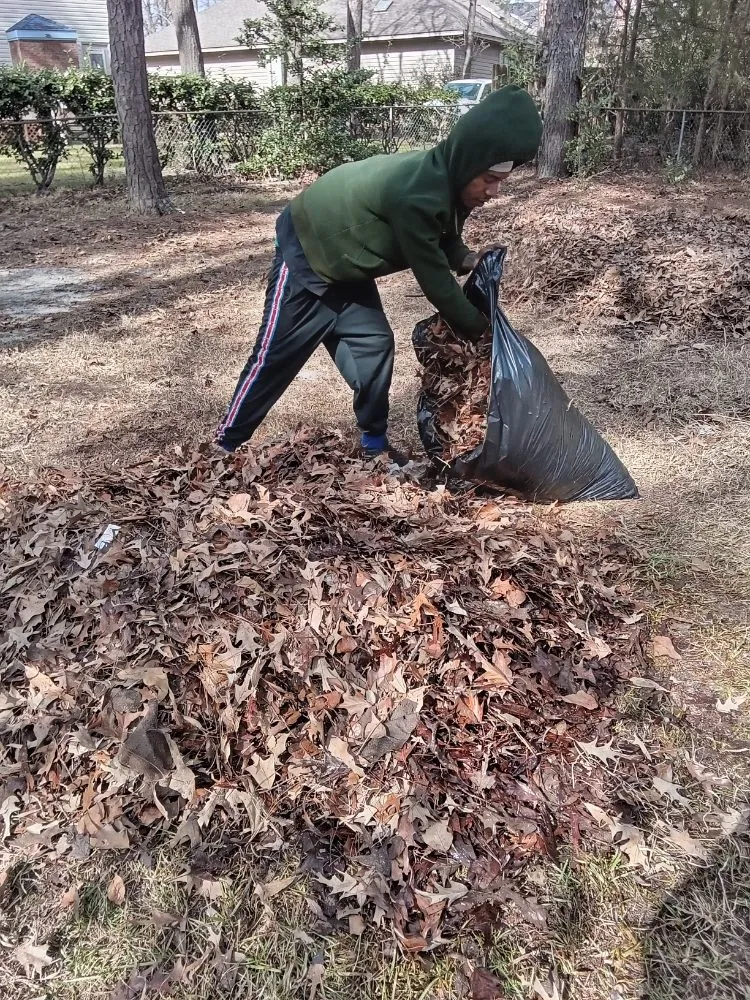 Top-rated yard cleanup service in Clayton, NC by Limitless Lawn Care