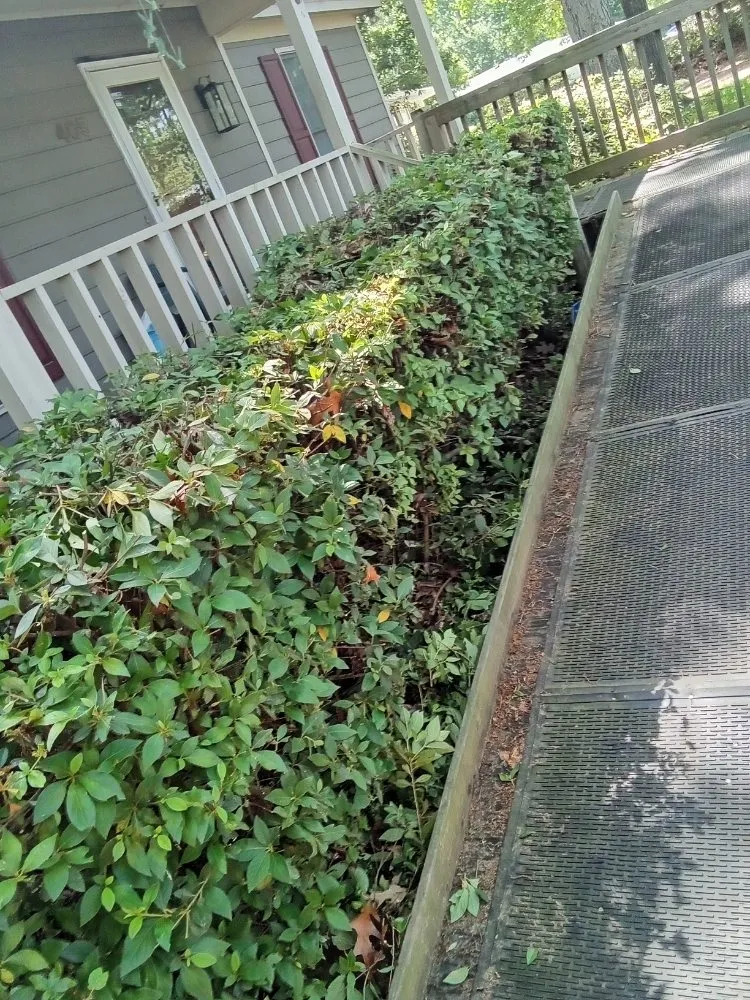 Local residential landscaping experts serving Clayton, NC - Limitless Lawn Care