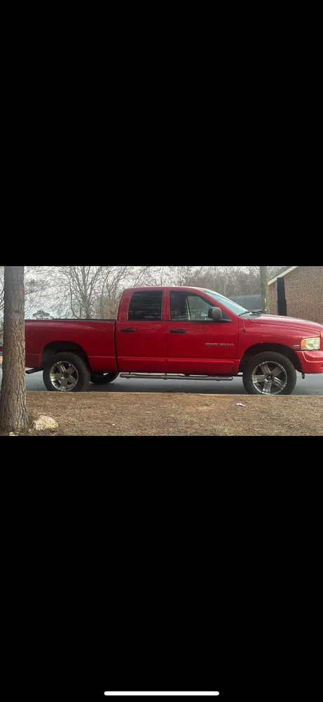 Expert yard cleanup service experts serving Clayton, NC - Limitless Lawn Care